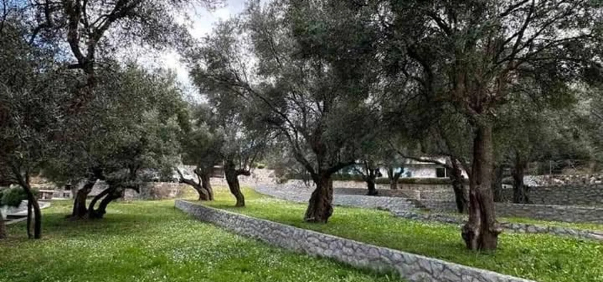 Kiralık beciçi de konforlu  Geniş Villa 