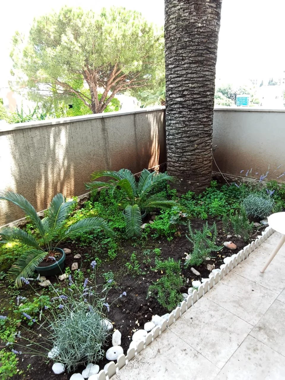 Budva da Stüdyo daire yıllık kiralık 