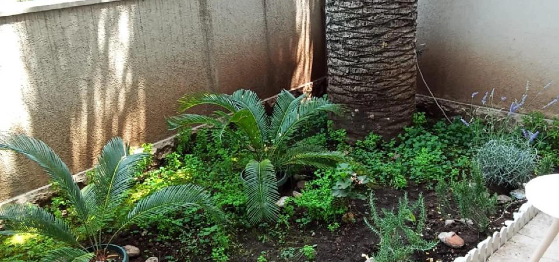 Budva da Stüdyo daire yıllık kiralık 