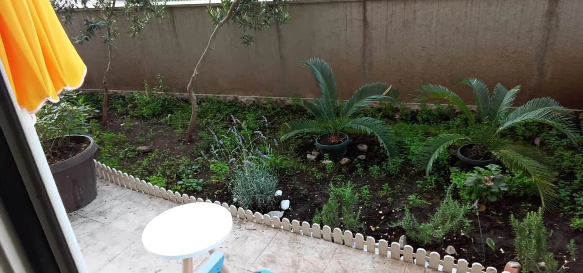 Budva da Stüdyo daire yıllık kiralık 