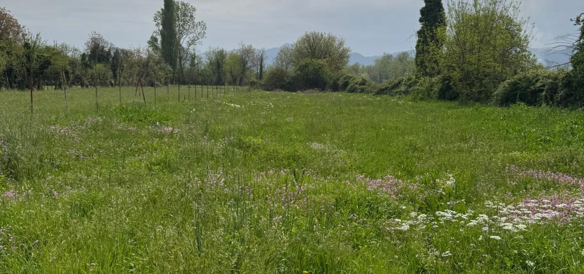 Podgorica ‘da imarlı 3.500 m2 arazi