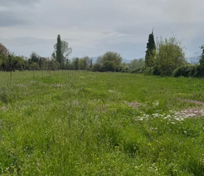 Podgorica ‘da imarlı 3.500 m2 arazi