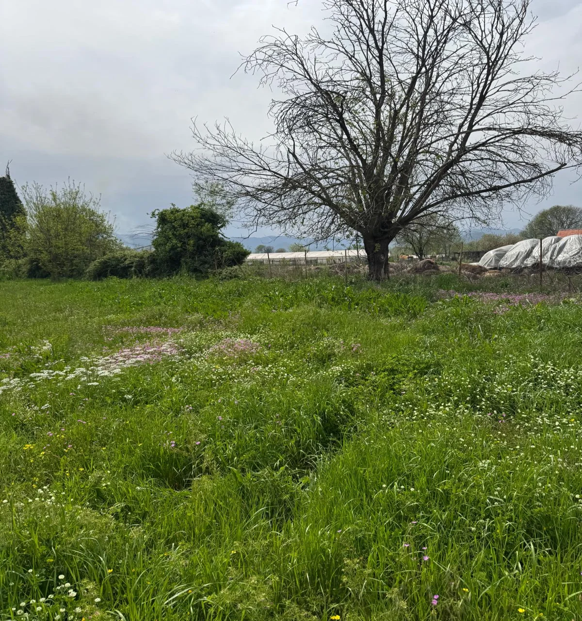 Podgorica ‘da imarlı 3.500 m2 arazi