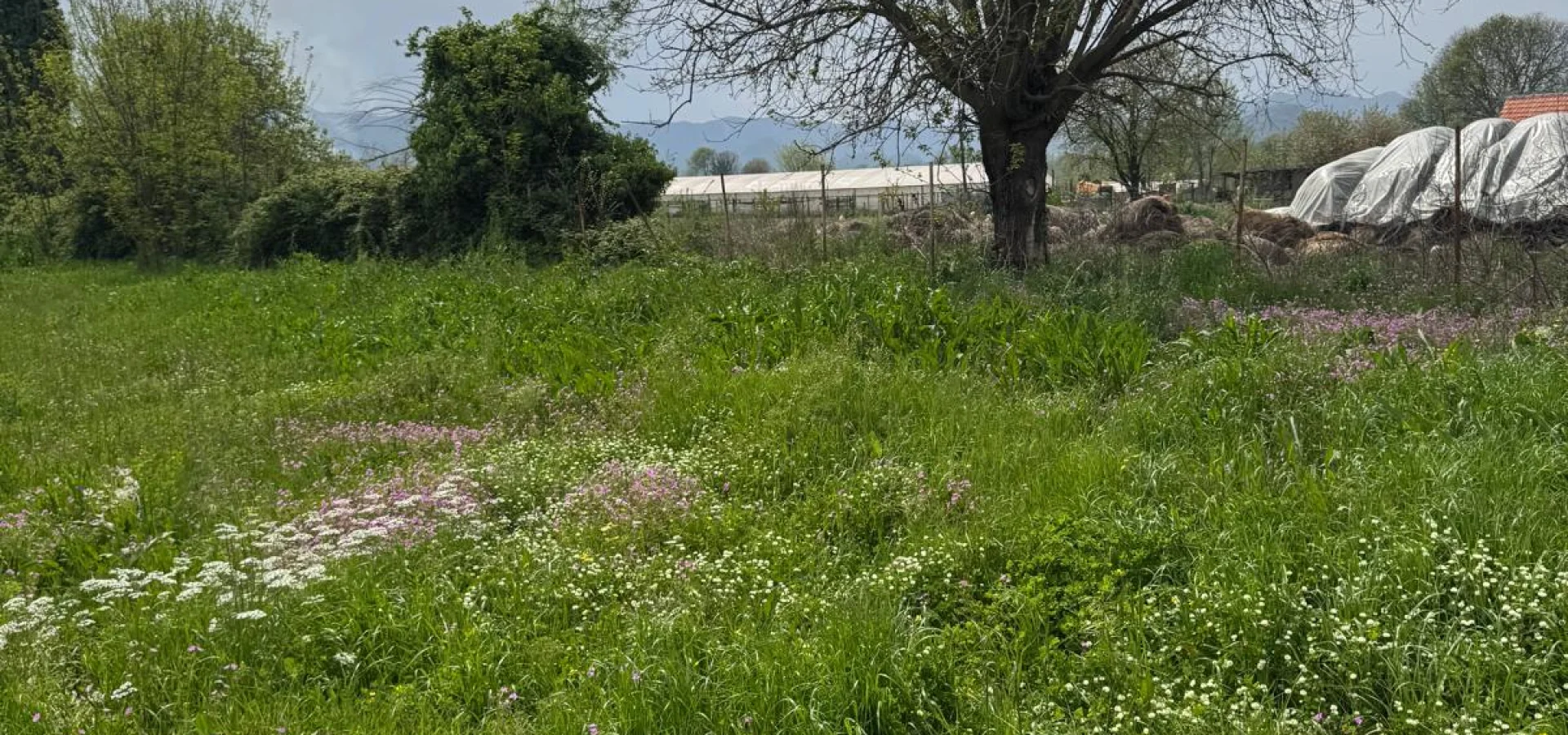 Podgorica ‘da imarlı 3.500 m2 arazi