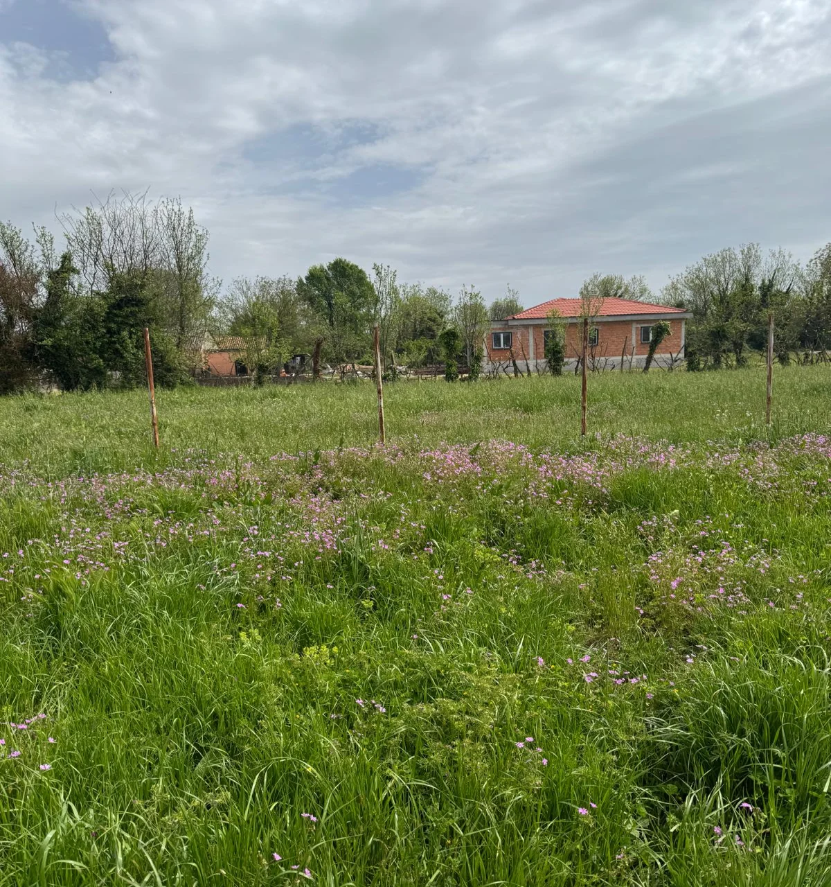 Podgorica ‘da imarlı 3.500 m2 arazi