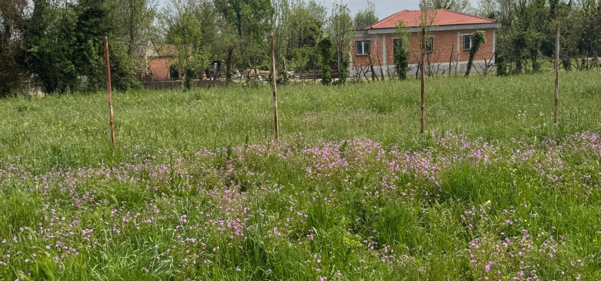 Podgorica ‘da imarlı 3.500 m2 arazi