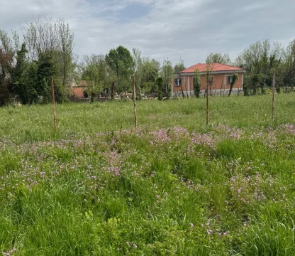 Podgorica ‘da imarlı 3.500 m2 arazi