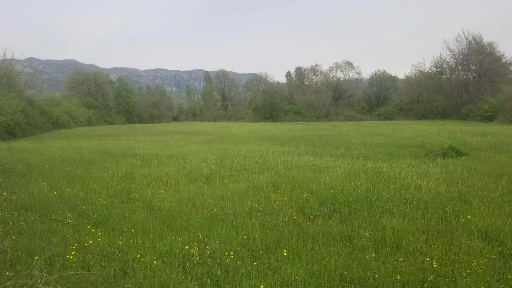Podgorica  Danilovgrad  da 21 dönüm arazi