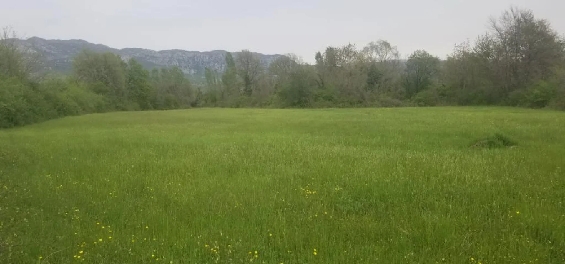 Podgorica  Danilovgrad  da 21 dönüm arazi