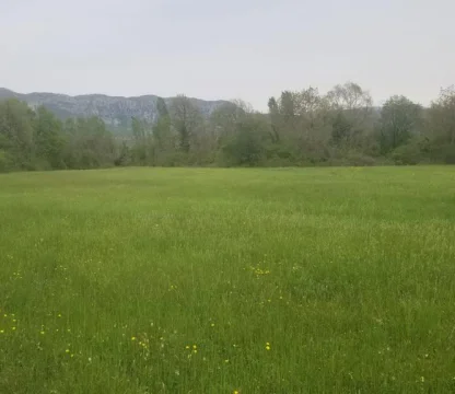 Podgorica  Danilovgrad  da 21 dönüm arazi