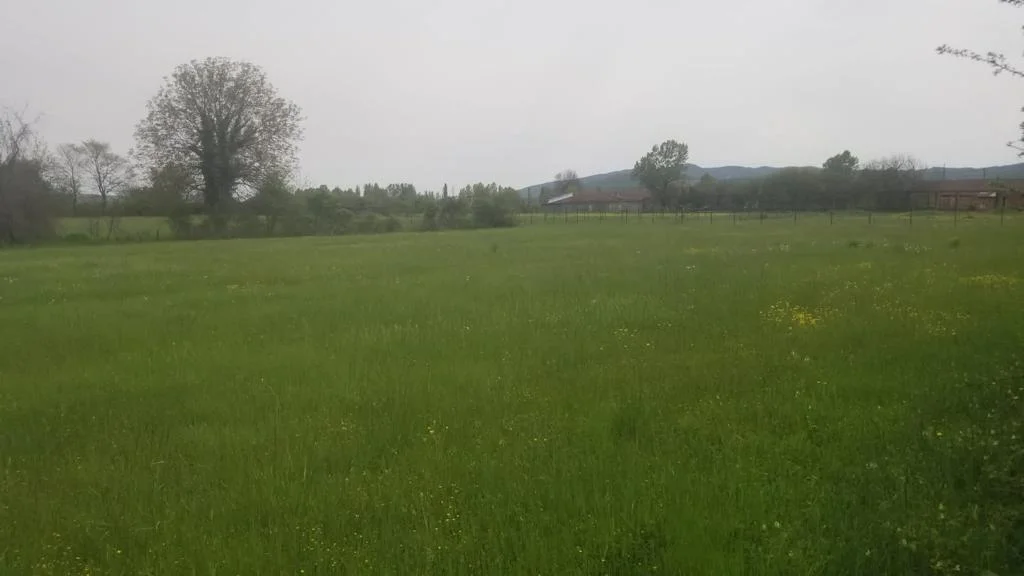 Podgorica  Danilovgrad  da 21 dönüm arazi