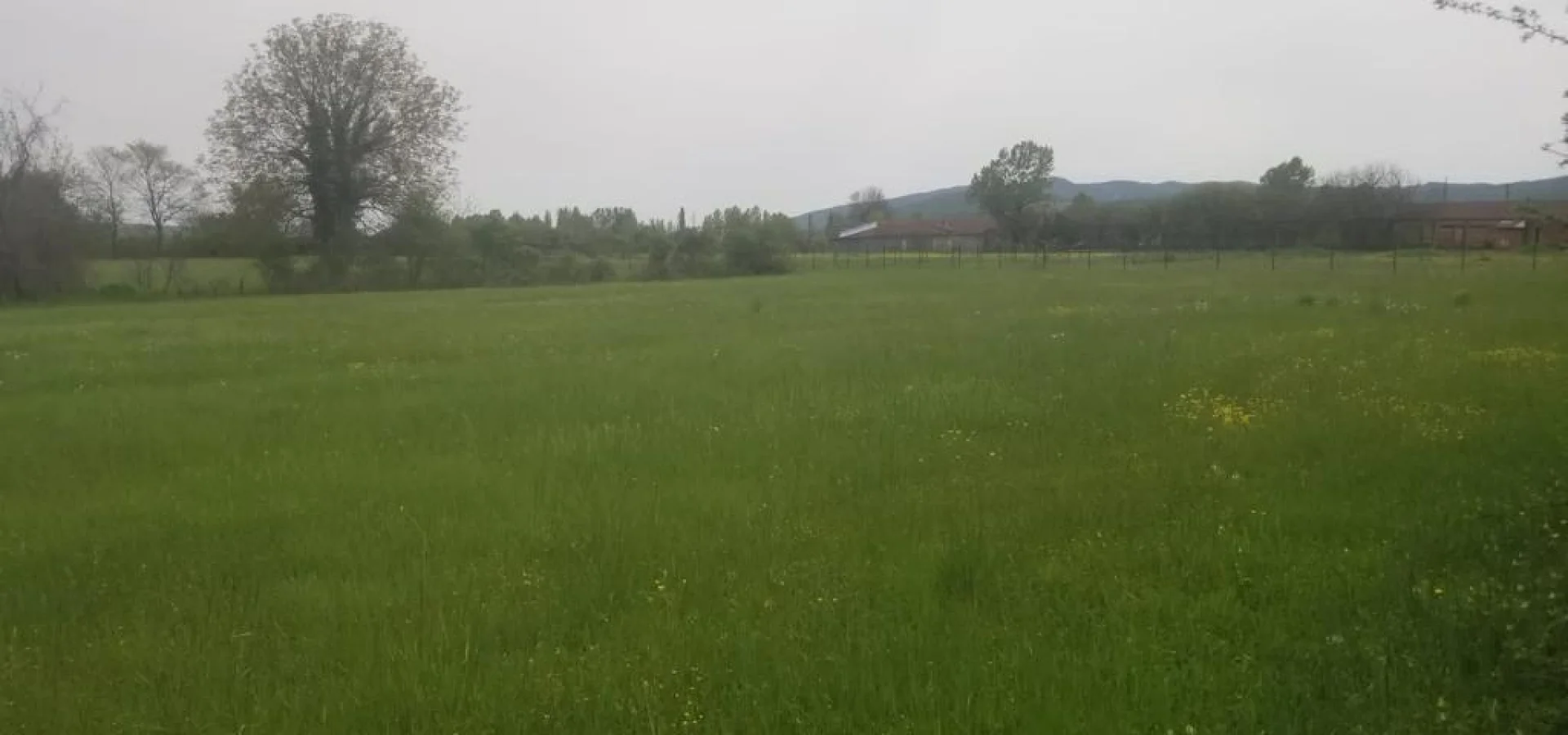 Podgorica  Danilovgrad  da 21 dönüm arazi