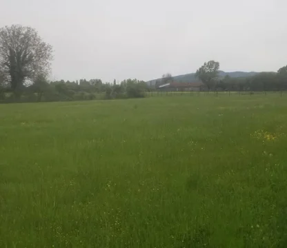 Podgorica  Danilovgrad  da 21 dönüm arazi